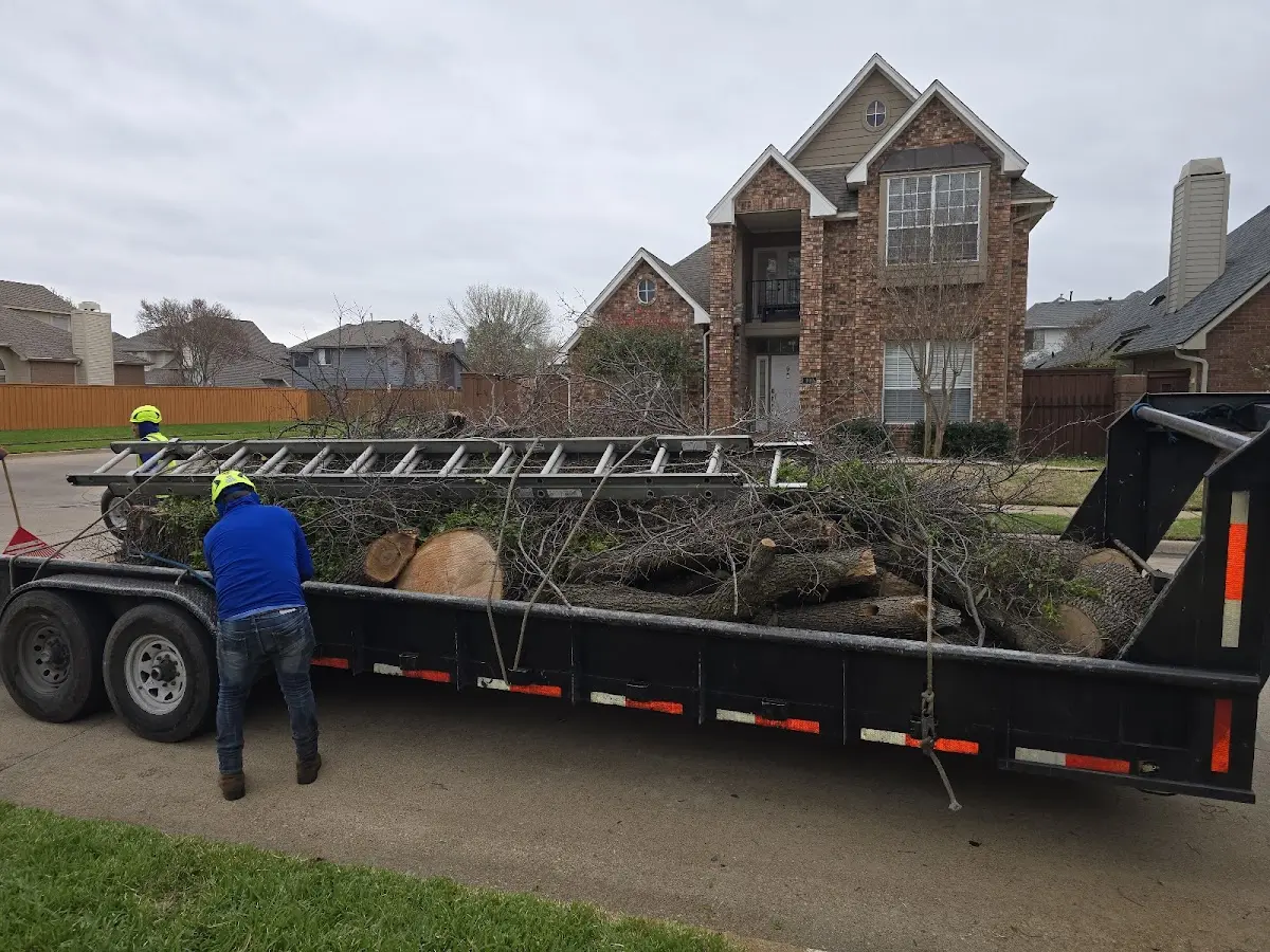 Expert Lot Clearing with proper safety equipment in Strasburg
